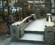 ハチの日記-200902021634000.jpg