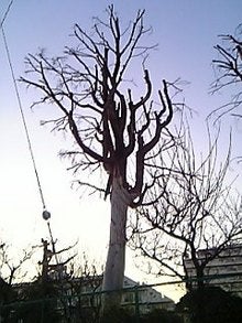 080215_170651.jpg