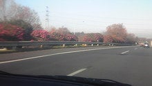 マルコのブログ-081206_090607.jpg