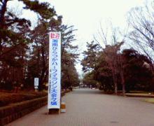 200602190727000.jpg