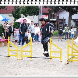 画像 【わんわん運動会ｉｎ２００８！！】Part3♪ の記事より 53つ目