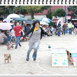 画像 【わんわん運動会！！ｉｎ２００８】Part２♪ の記事より 11つ目