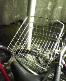 カゴ