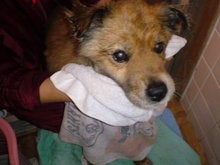 20080516064838.jpg