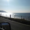 ギョエーの画像