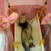 行ってきました～♪　（後編）の画像