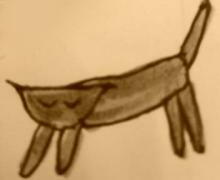 neco