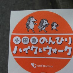 画像 小田急ハイキング『箱根』を歩く の記事より 4つ目