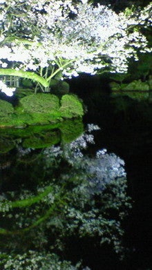 200804122040000.jpg
