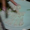 ☆ふぐー☆の画像