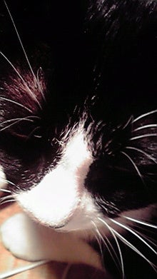 2008071301150000.jpg