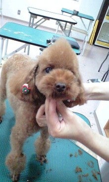 ☆だいすき☆-081217_1818~0002.jpg