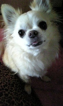 071203_090704.jpg