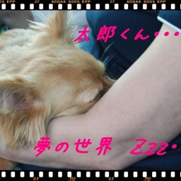 画像 ２００８年　遠足♪　土岐プレミアムアウトレット！！ の記事より 22つ目