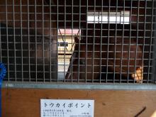 トウカイポイント
