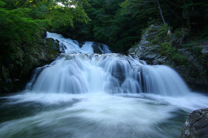中野白滝２