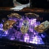 うま（＾＾）の画像