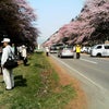 道内なら…、本州なら…の画像