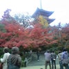 清水寺の画像