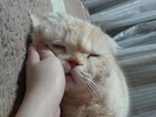 2008030820400000.jpg