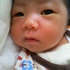 似？の画像