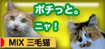 にほんブログ村 猫ブログ MIX三毛猫へ