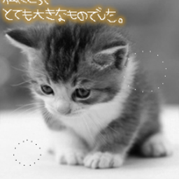画像 すぺしゃる？画像祭り♪ の記事より 6つ目