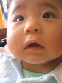 子連れのウチ日記-090114_1252~01.jpg