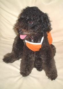 nana309