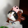 あけましておめでとう！の画像