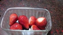 20080314235554.jpg