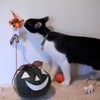 HAPPY  HALLOWEENの画像