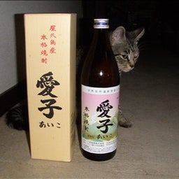 僕の一日