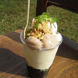 画像 ロハスフェスタへ！！ の記事より 3つ目