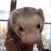 感謝です♪の画像