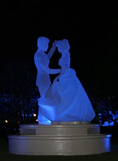 IMG_0628122.jpg
