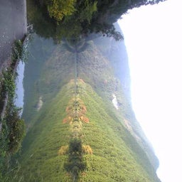 Image0681.jpg