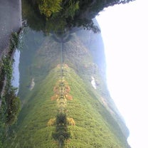 ブログ投稿画像