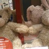 ★ふわふわふんわり…★の画像