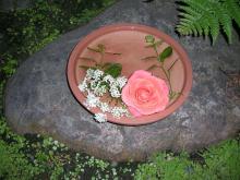 Kyoto