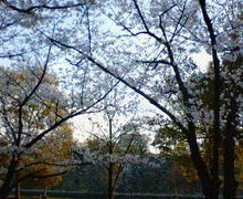 200704041741000.jpg