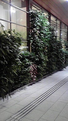 2008080911370000.jpg