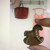 こちょの画像