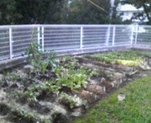 200811071429000.jpg
