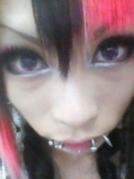 グラフィック0205004.jpg
