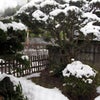 今日からblog始めますの画像