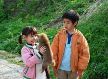 マリと子犬の物語