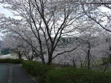 菊池公園②
