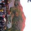 秋夕日紅葉の画像