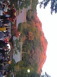 081130_162227.jpg